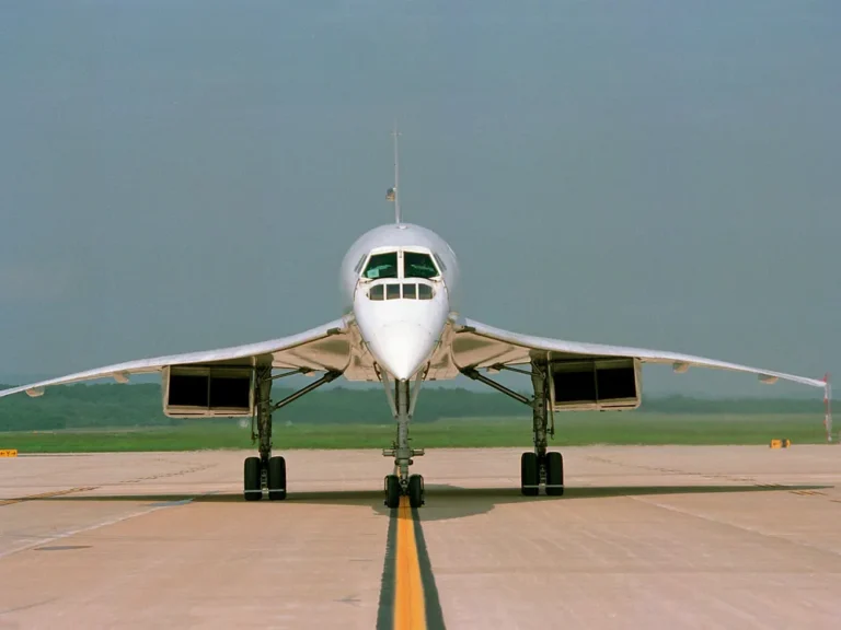 17a_fm2019_nasm-9a01587_live